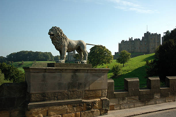 zamek alnwick - alnwick castle green alnwick castle zdjęcia i obrazy z banku zdjęć