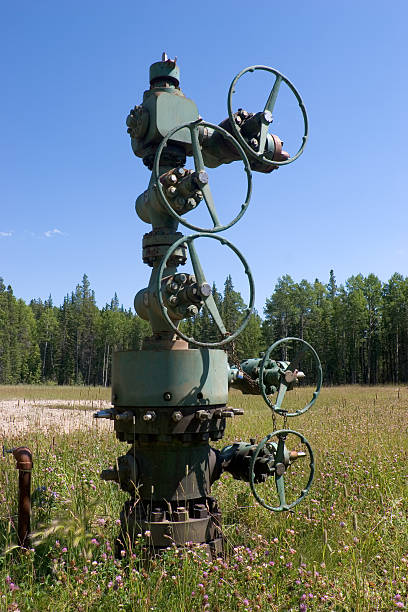 Oilfield # 13 An Alberta gas well.To view my other Oil Industry related images oil wellhead stock pictures, royalty-free photos & images