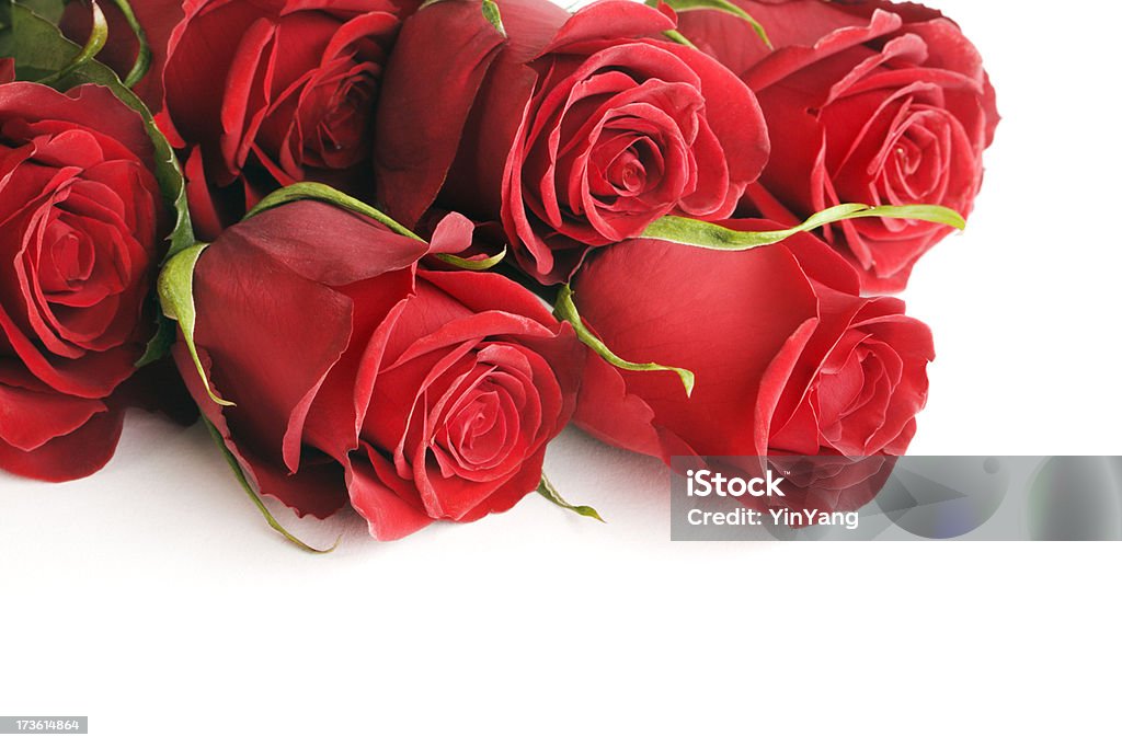 Rosas rojas de la frontera - Foto de stock de Buqué libre de derechos