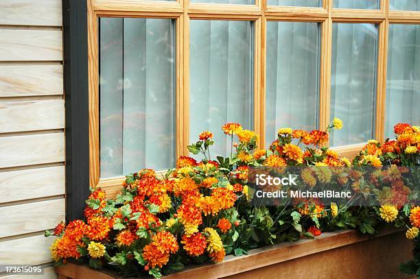 Flowerbox Z Jesień Kolorowy Kwiaty - zdjęcia stockowe i więcej obrazów Aksamitka - Aksamitka, Okno, Jesień