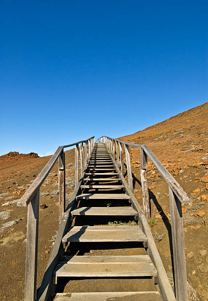 istock Wooden steps climbing a mountain with clear blue sky 173615209