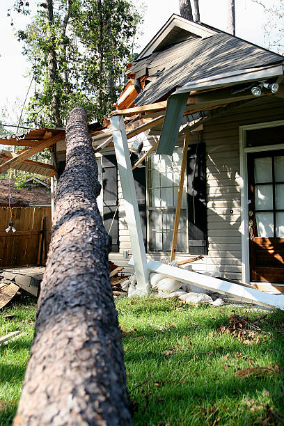 Hurricane Katrina Damage 03 A tree is blown over to hit a house during hurricane Katrina. 2004 indian ocean earthquake and tsunami stock pictures, royalty-free photos & images