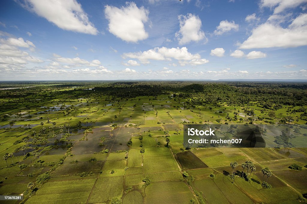 Kambodża: Siem Reap Krajobraz - Zbiór zdjęć royalty-free (Krajobraz wiejski)