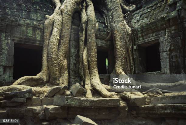 Antica Angkor - Fotografie stock e altre immagini di Albero - Albero, Albero tropicale, Ambientazione esterna