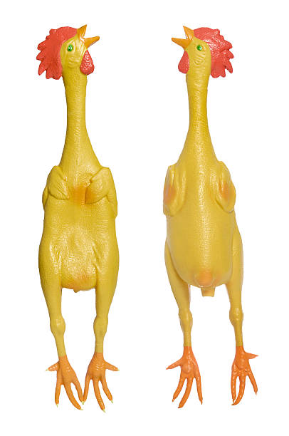 Rubber Chickens stock photo