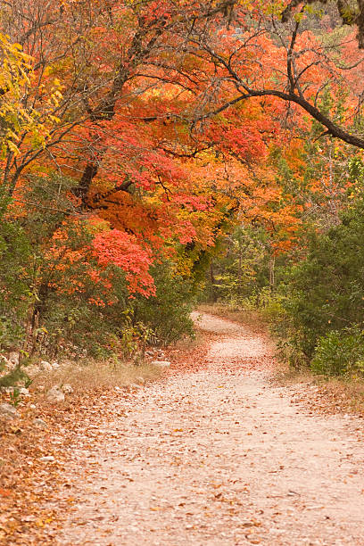 istock Autumn Colors in Texas Hill Country 173615441