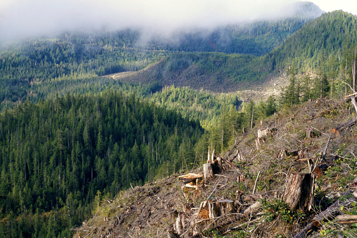 View of clearcuts from the sunshine coast in British Columbia.