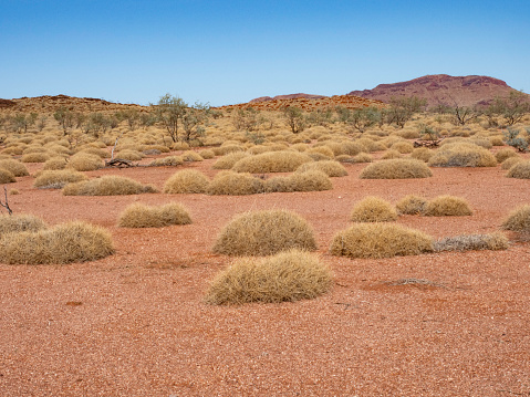 The Pilbara in Western Australia, red rocks, blues skies and spinifex