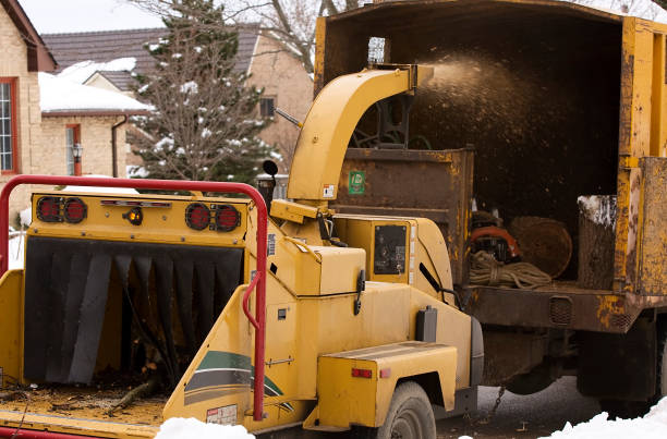 broyeur de branches en action - broyeur de branches photos et images de collection