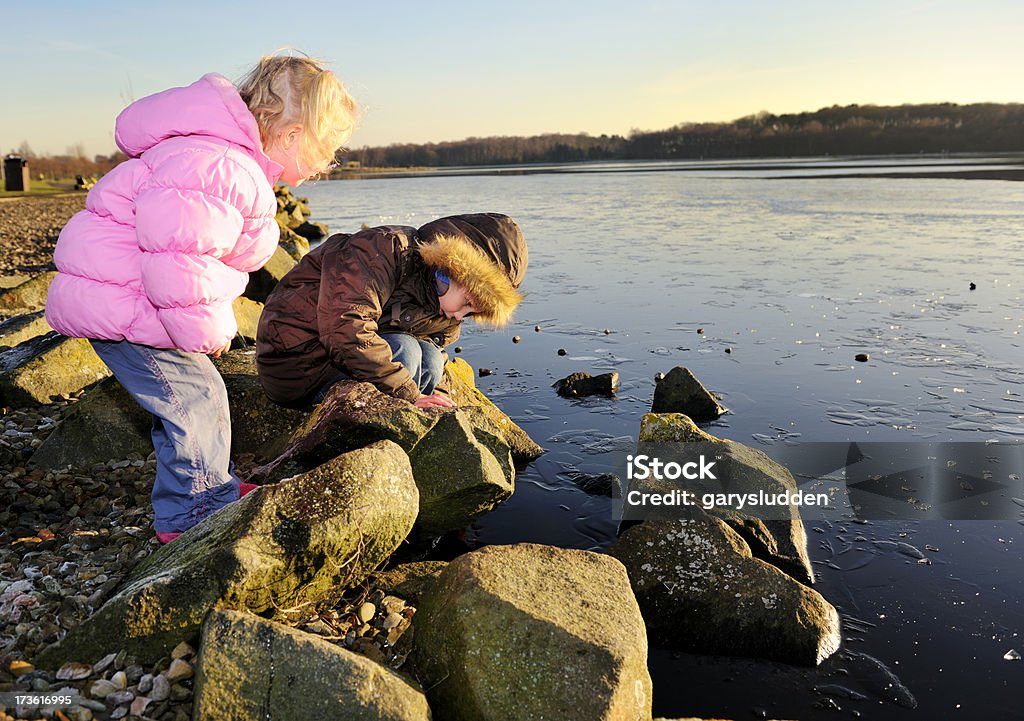 Irmão e irmã jogando em à beira do lago - Foto de stock de Estilo de Vida royalty-free