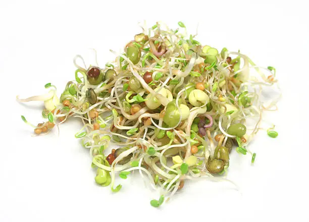 "sprouted seeds of red clover,mung bean,lentils and radish"
