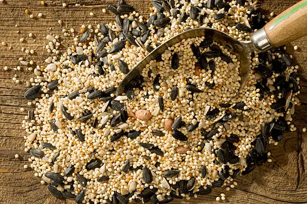 Looking down on a pile of wildbird seed mix with a scoop in it. barnwood background.1 of 3 birdfood images.see lightbox below.