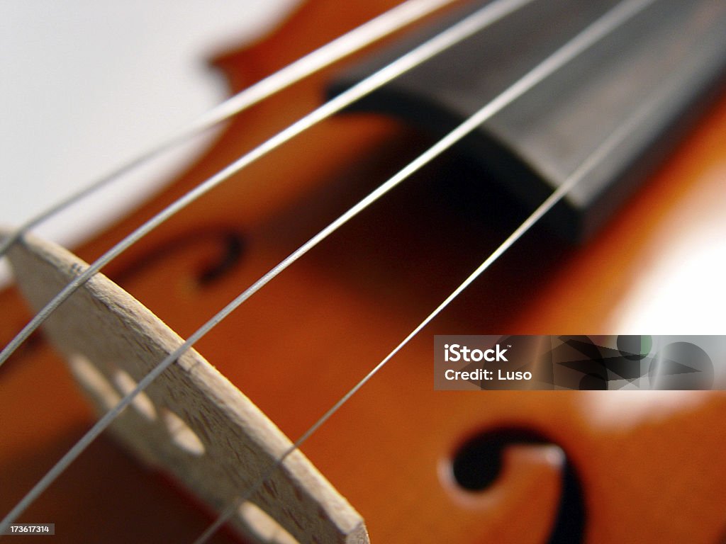 Cordas violino (série - Foto de stock de Violino royalty-free