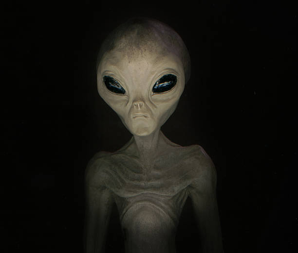 ALIEN - FRONT HEAD ALIEN - HIGH IN DETAIL grey alien stock pictures, royalty-free photos & images