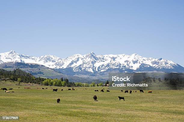 Rancho W Góry Skaliste - zdjęcia stockowe i więcej obrazów Gospodarstwo - Gospodarstwo, Stan Kolorado, Bez ludzi