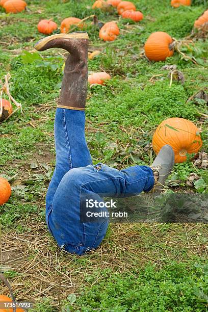 Odd Scarecrow Stock Photo - Download Image Now - Agricultural Field, Autumn, Blue