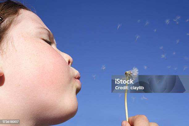 Making Wishes Stock Photo - Download Image Now - Seed, Child, Exploding