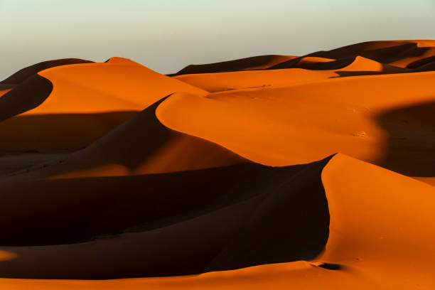 istock Golden hour in Western Sahara Desert, Morocco 1736191231