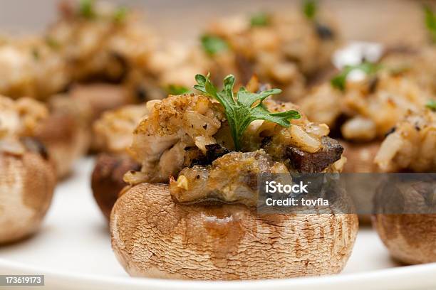 속채운 버섯 속을 채운에 대한 스톡 사진 및 기타 이미지 - 속을 채운, 식용 버섯, 접시