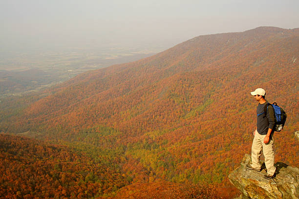 istock Hiker enjoying the view from Hawksbill Summit 173619337