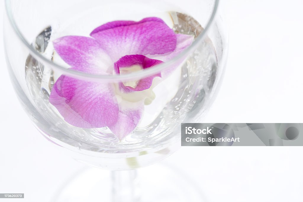 Primer plano de color rosa Orchid flower en vaso de agua pura - Foto de stock de Agua potable libre de derechos