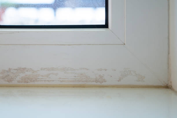 istock Dirty window frame after sealing cracks with duct tape. Damaged surface with glue residue plaque. 1736206285