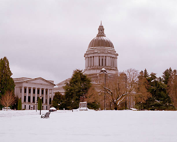 istock Winter Snowfall, Washington State Capital, United States 173620810