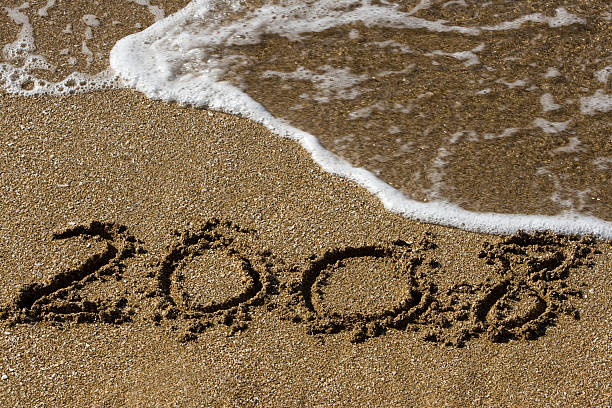 Goodbye 2008 - Happy new year!