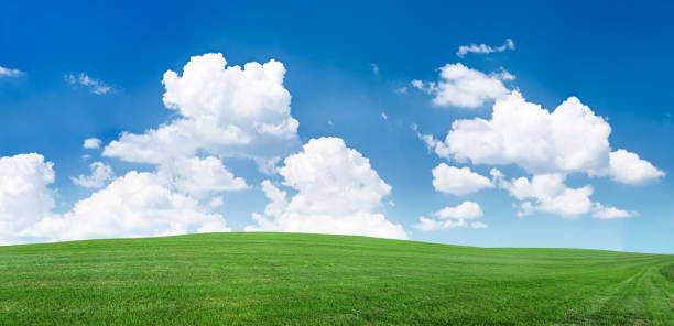 istock Panoramic spring landscape 64MPix XXXXL meadow, blue sky, clouds 173621509