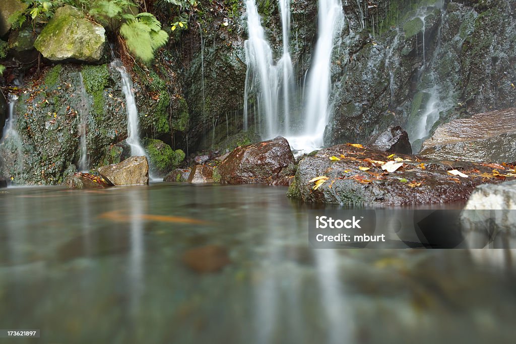 Waterfall Long exposure of waterfall into rock pool. Animal Wildlife Stock Photo