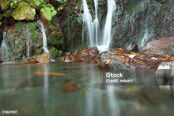 Waterfall Stock Photo - Download Image Now - Animal Wildlife, Australia, Backgrounds