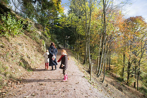istock Autumn walk in the forest and mountains 173622817