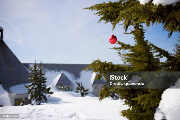 Ramo Con Decorazione Rosso Natale Appeso Fuori Nella Neve Copyspace - Fotografie stock e altre immagini di Albero