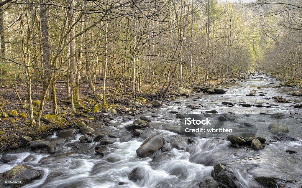 Chanson de la série Stream - Photo de Appalaches libre de droits