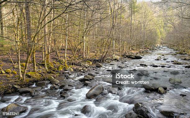 Photo libre de droit de Chanson De La Série Stream banque d'images et plus d'images libres de droit de Appalaches - Appalaches, Aventure, Cascade