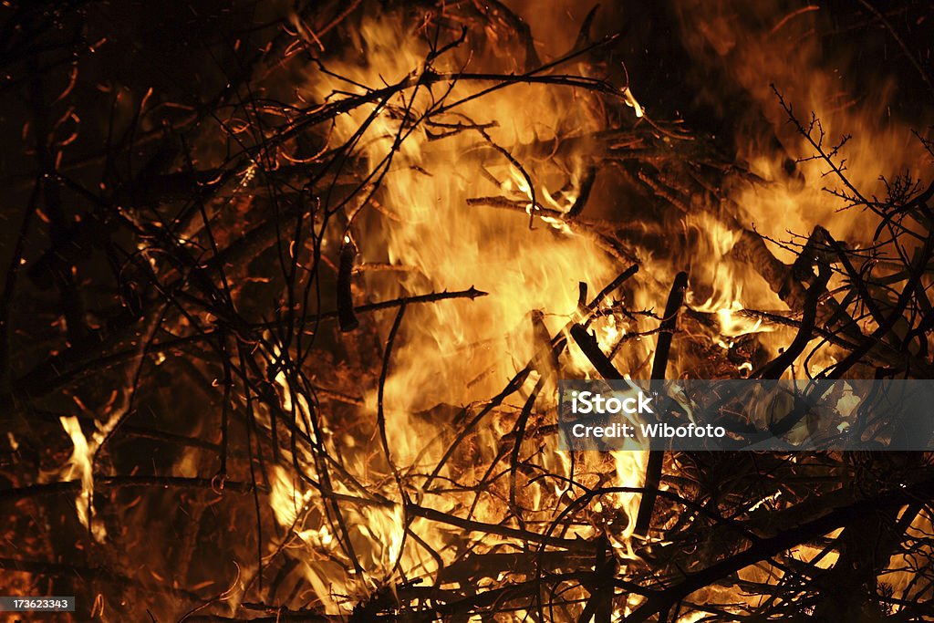 Burning branches Tree branches burningClick on the image below to see more fire images. Branch - Plant Part Stock Photo