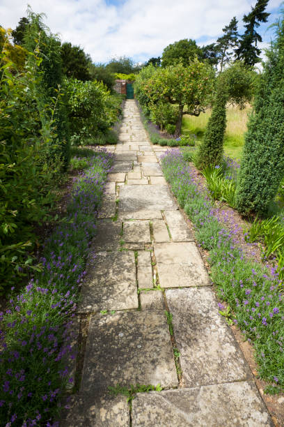 istock Straight English Garden Path 173623486