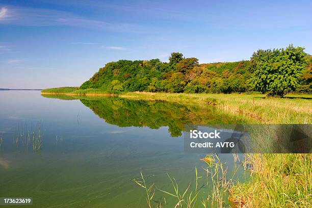 Summer Lake Stock Photo - Download Image Now - 12 O'Clock, Beach, Blue