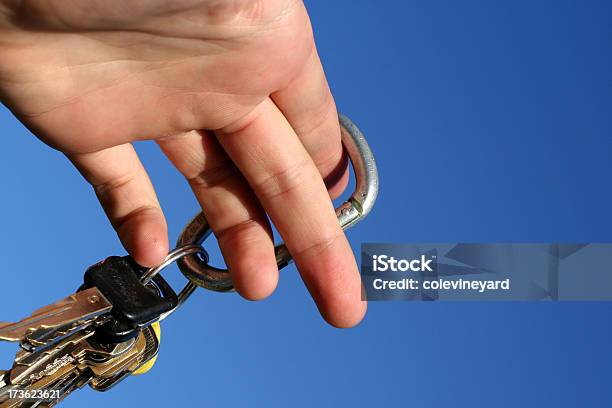 Controlador De Novo - Fotografias de stock e mais imagens de Adolescente - Adolescente, Autoridade, Camião