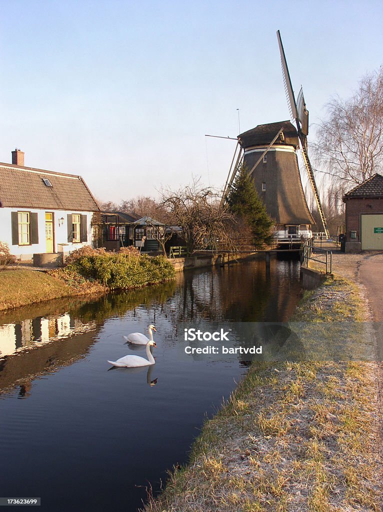 風車、白鳥 - オランダのロイヤリティフリーストックフォト