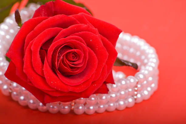 istock Pearls and Red Rose 173624957