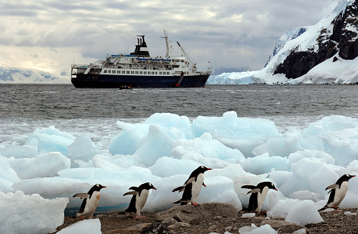 A cruise ship in Niko Harbour off the coast of Antarctica - tourists in zodiac boats coming ashore and Penguins running through the ice.