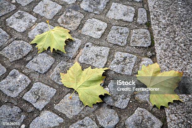 Cobblestones Mit Herbst Blätter Stockfoto und mehr Bilder von Blatt - Pflanzenbestandteile - Blatt - Pflanzenbestandteile, Farbbild, Fotografie