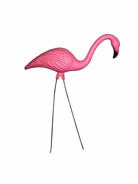 pink flamingo A pink plastic flamingo isolated on white garden feature stock pictures, royalty-free photos & images