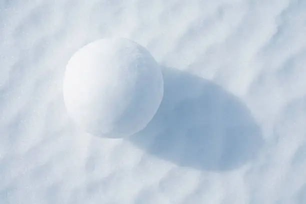 Snowball. Similar pictures from my portfolio: