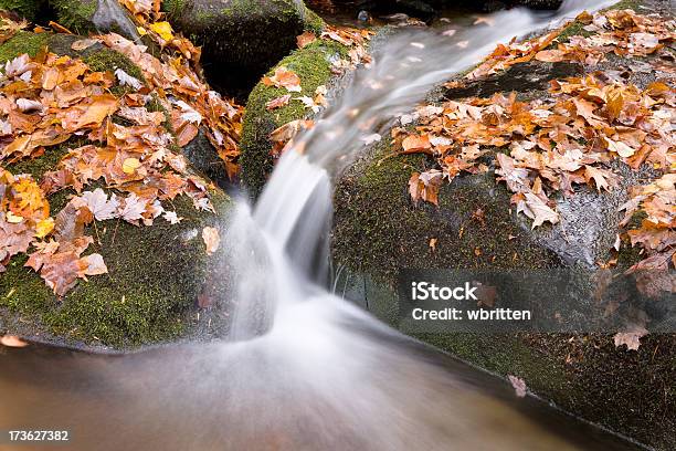 Canción De La Serie Corriente Foto de stock y más banco de imágenes de Fondos - Fondos, Naturaleza, Tennessee