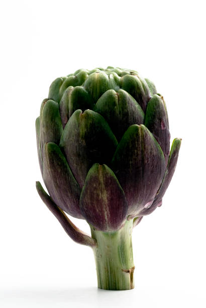 istock single Artichoke isolated on white background 173627859
