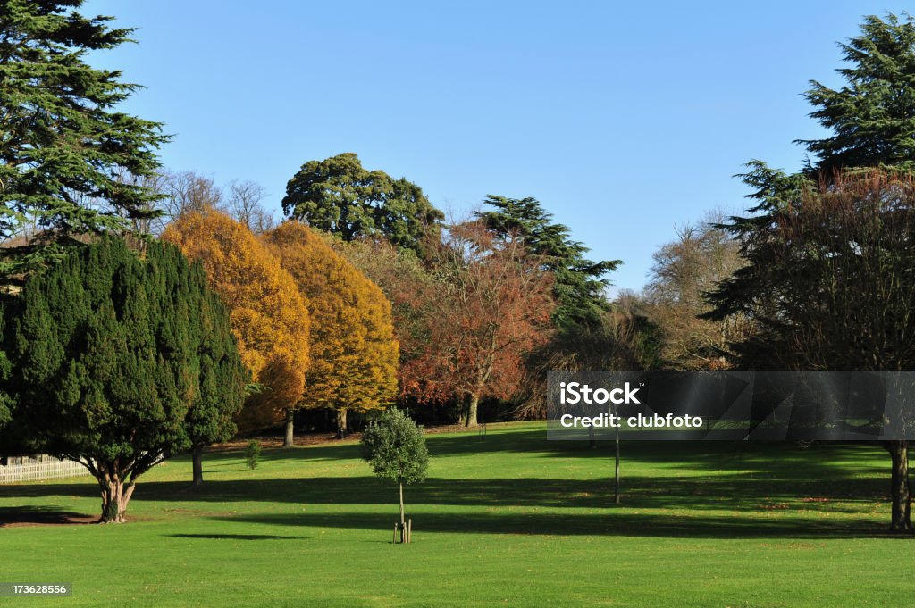 Autumn trees "Mixed trees in the autumn.   This image was taken at Kearsney Abbey, near to Dover, Kent, England." Autumn Stock Photo