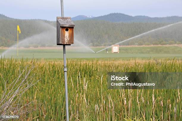 Casetta Per Gli Uccelli E Campo Da Golf Pubblico - Fotografie stock e altre immagini di Acqua - Acqua, Asta - Oggetto creato dall'uomo, Attività ricreativa