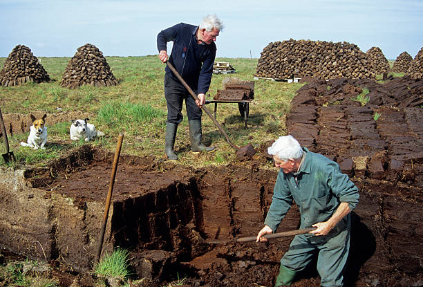 Men cutting turf from bog in Irish Republic "Men cutting turf from bog in Maamturk Mountains near Cong, Ireland" bog stock pictures, royalty-free photos & images